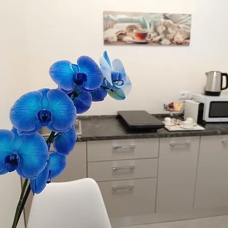 Fioriris Del * Стреза